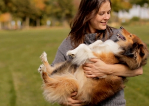 Traiteur pour animaux